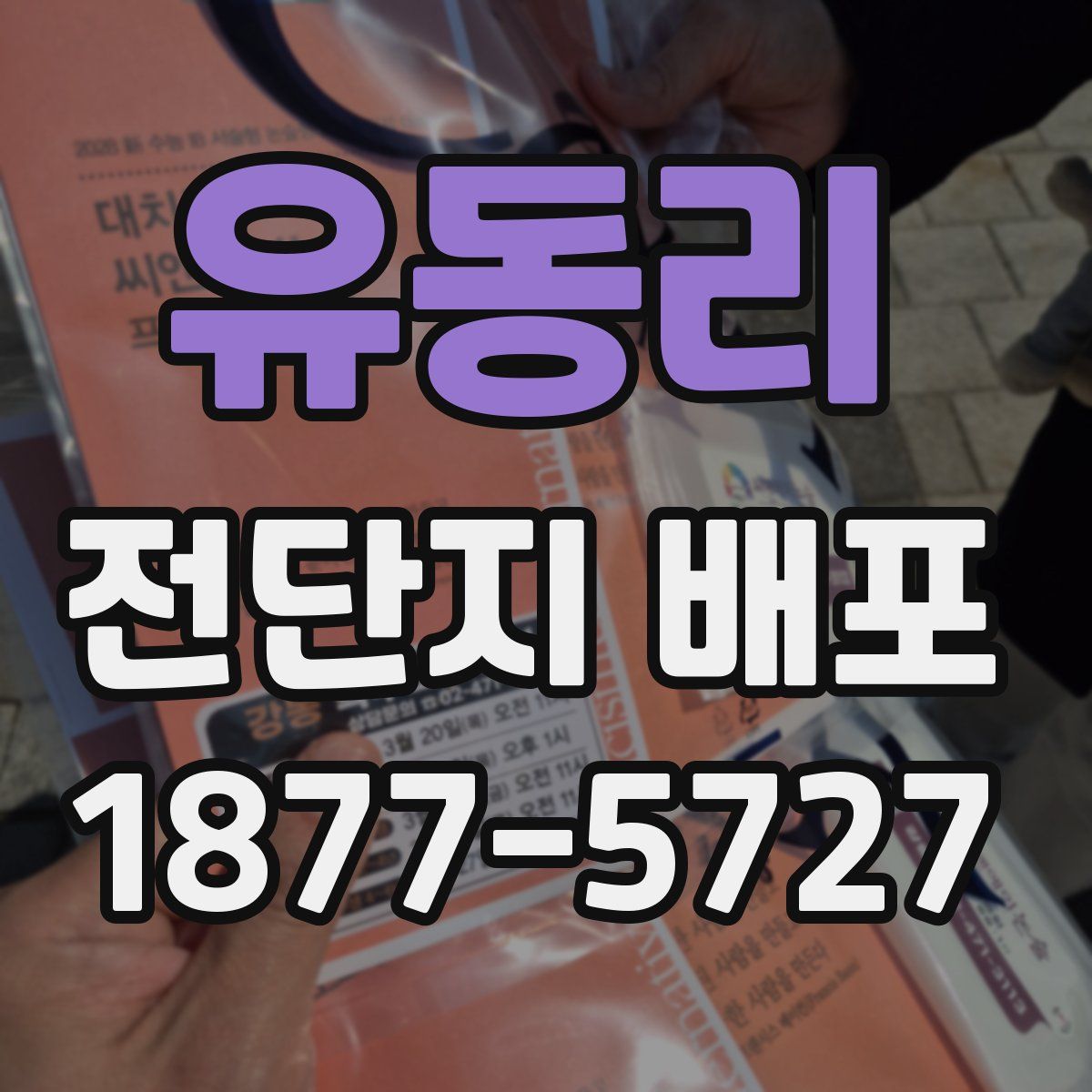 유동리 전단지 배포