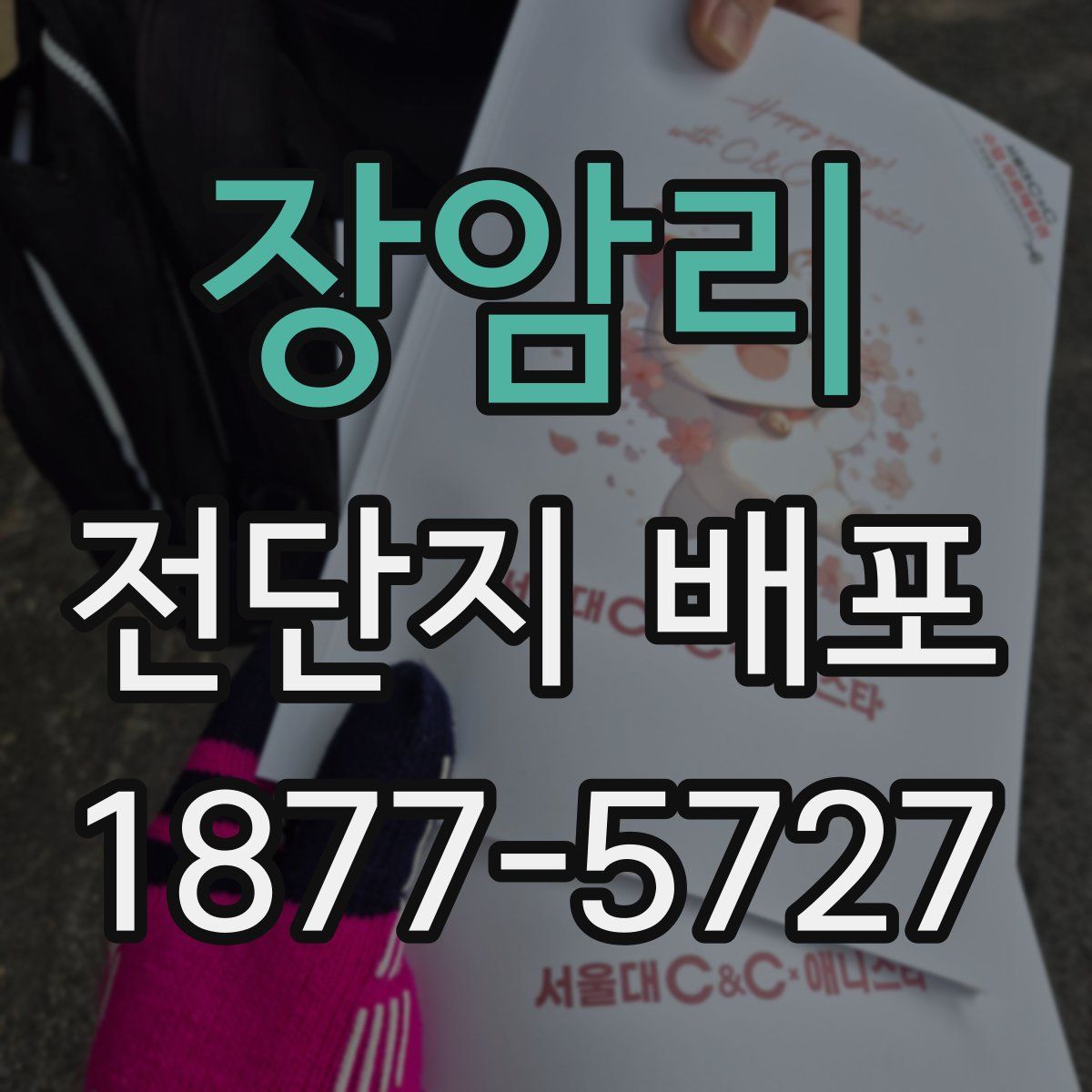 장암리 전단지 배포