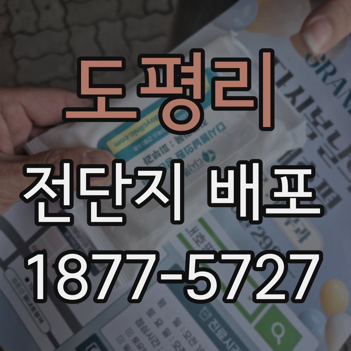 도평리 전단지 배포