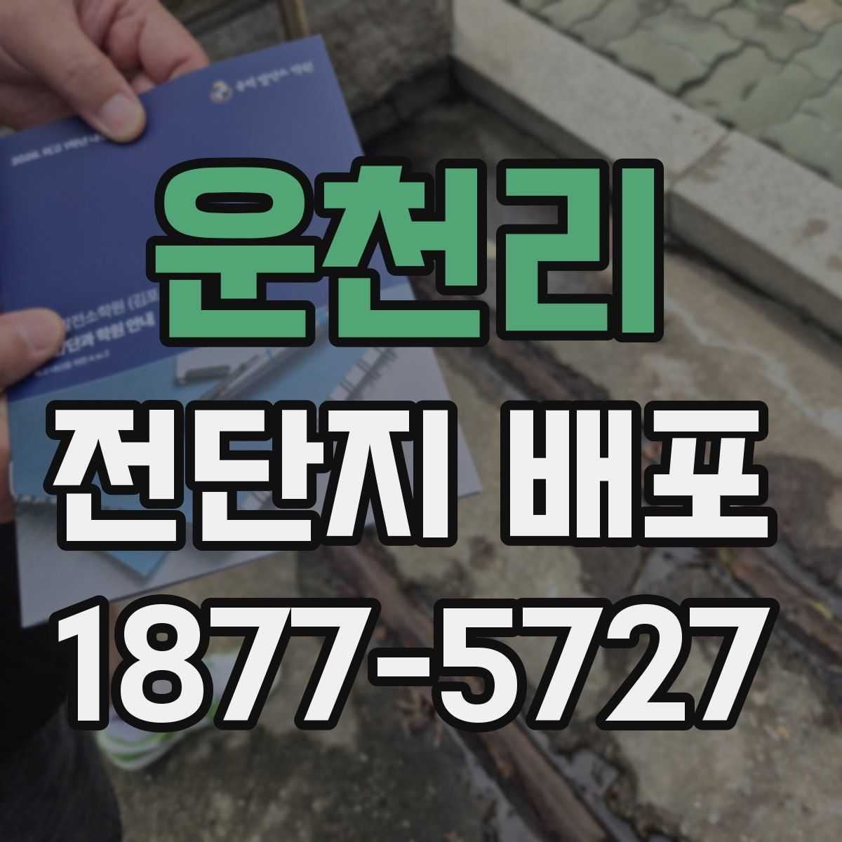 운천리 전단지 배포