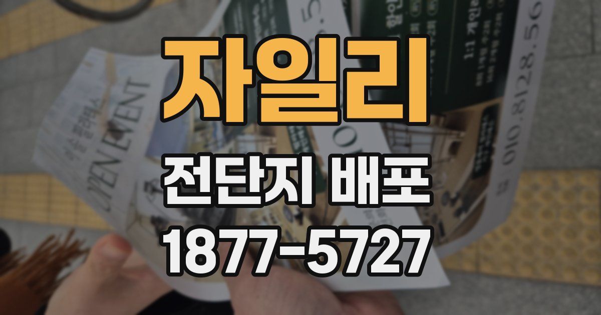 자일리 전단지 배포