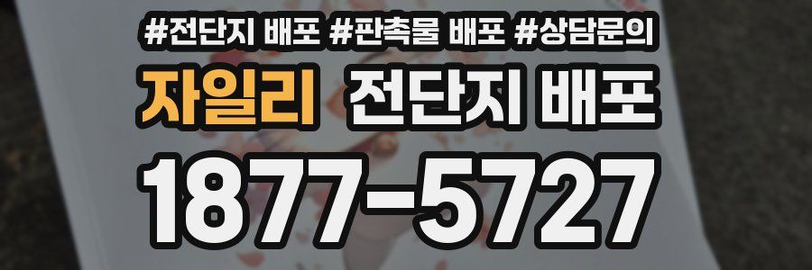 자일리 전단지 배포
