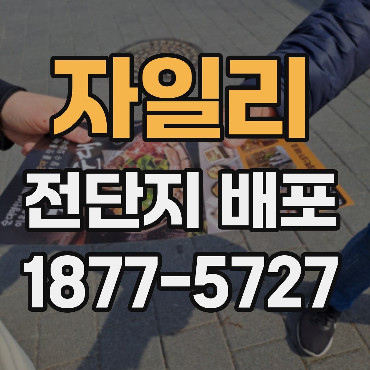 자일리 전단지 배포