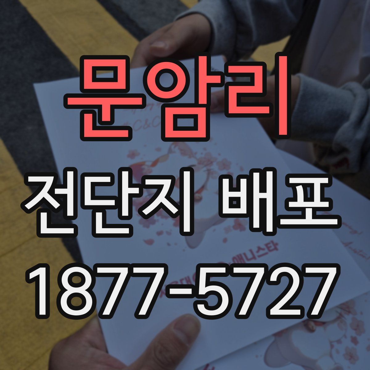 문암리 전단지 배포
