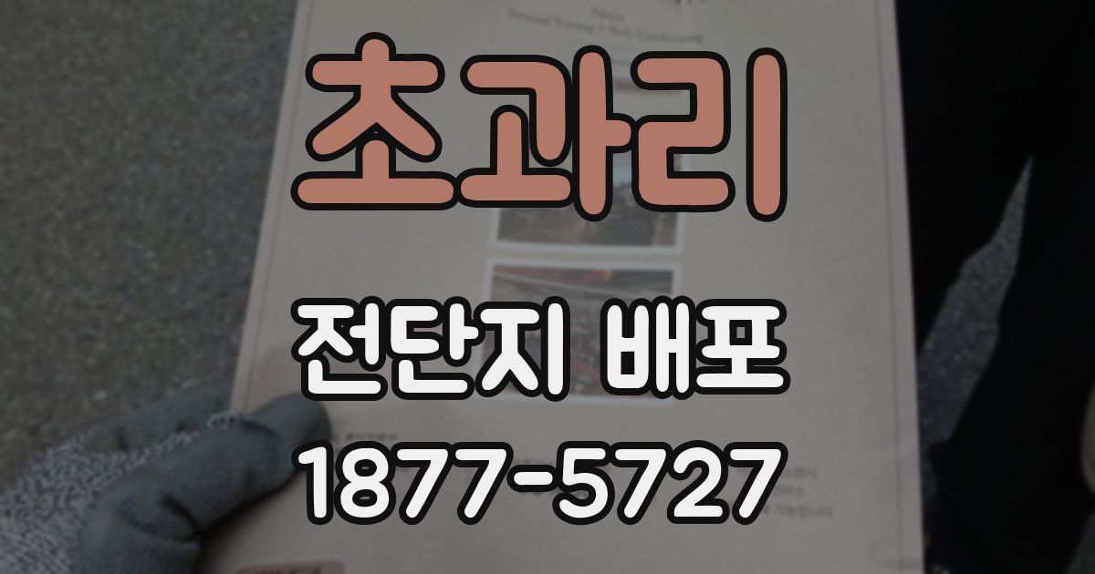 초과리 전단지 배포