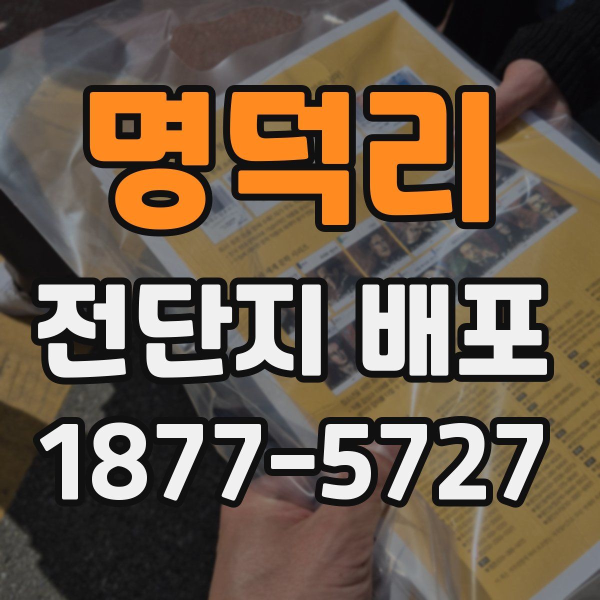 명덕리 전단지 배포