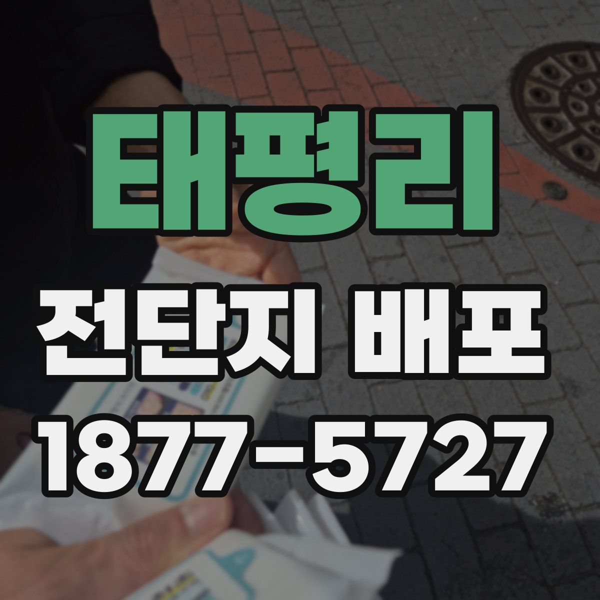 태평리 전단지 배포