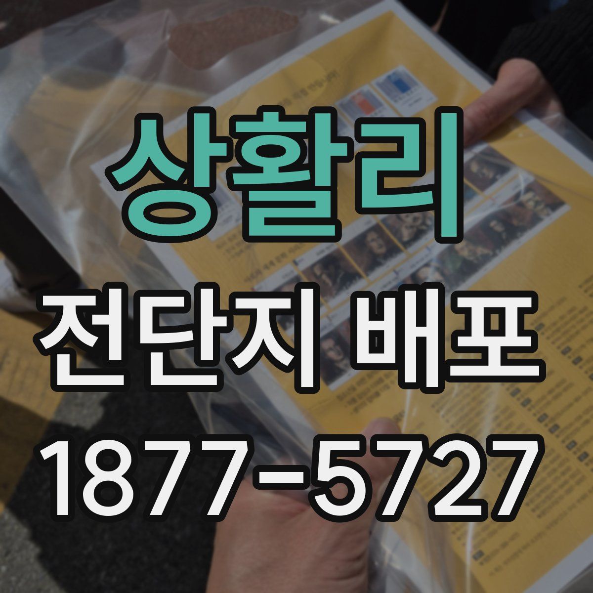 상활리 전단지 배포