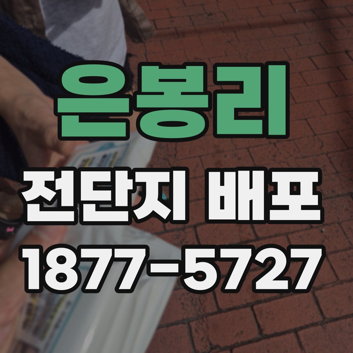 은봉리 전단지 배포