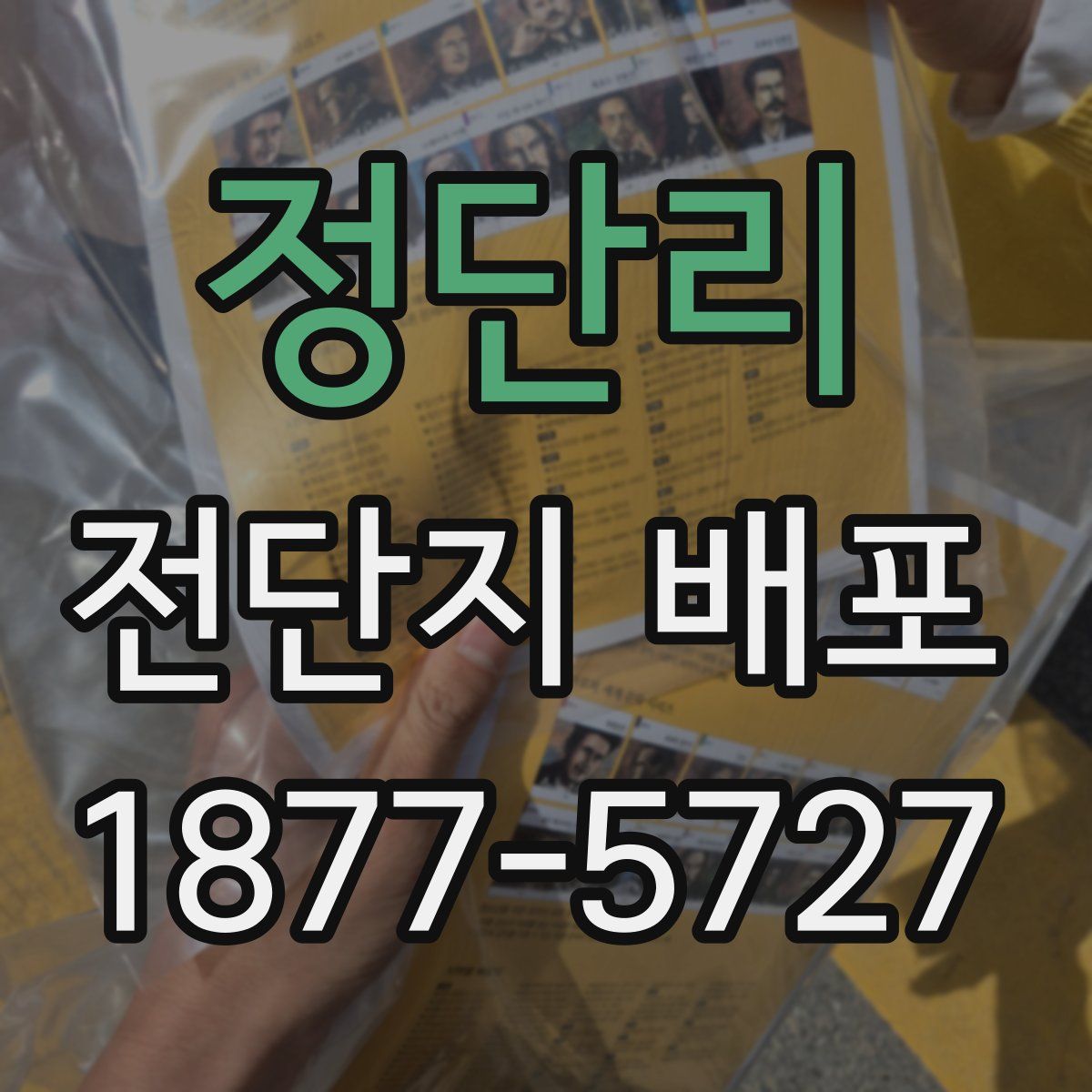 정단리 전단지 배포