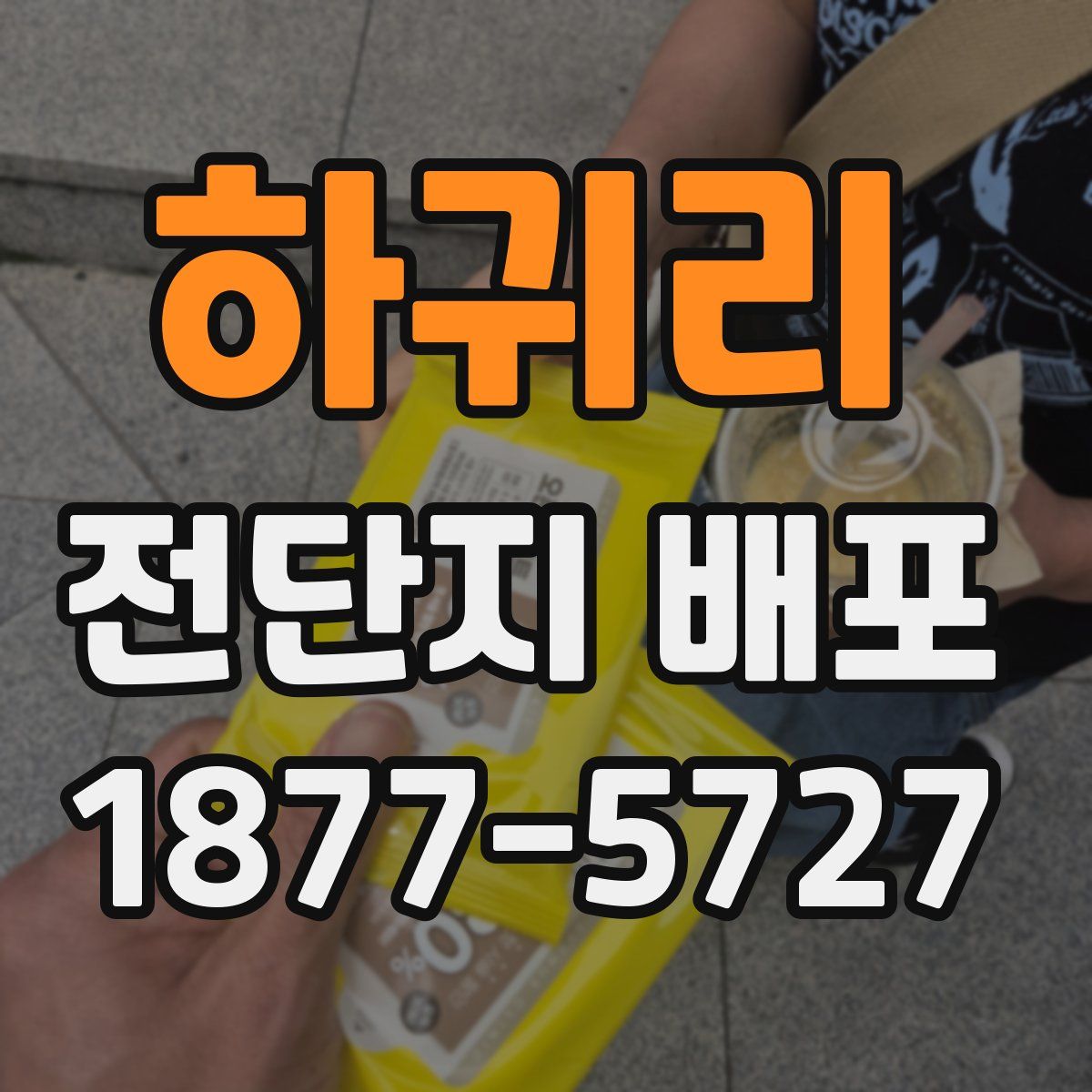 하귀리 전단지 배포