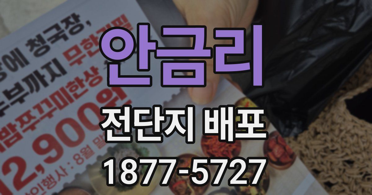 안금리 전단지 배포