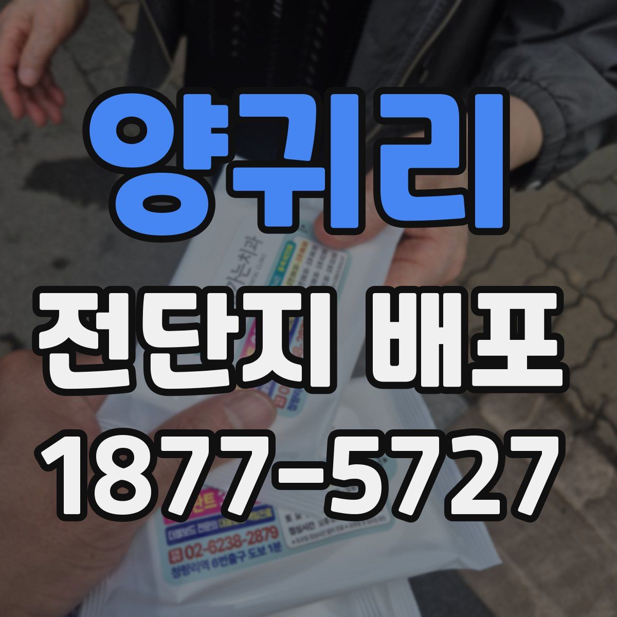 양귀리 전단지 배포