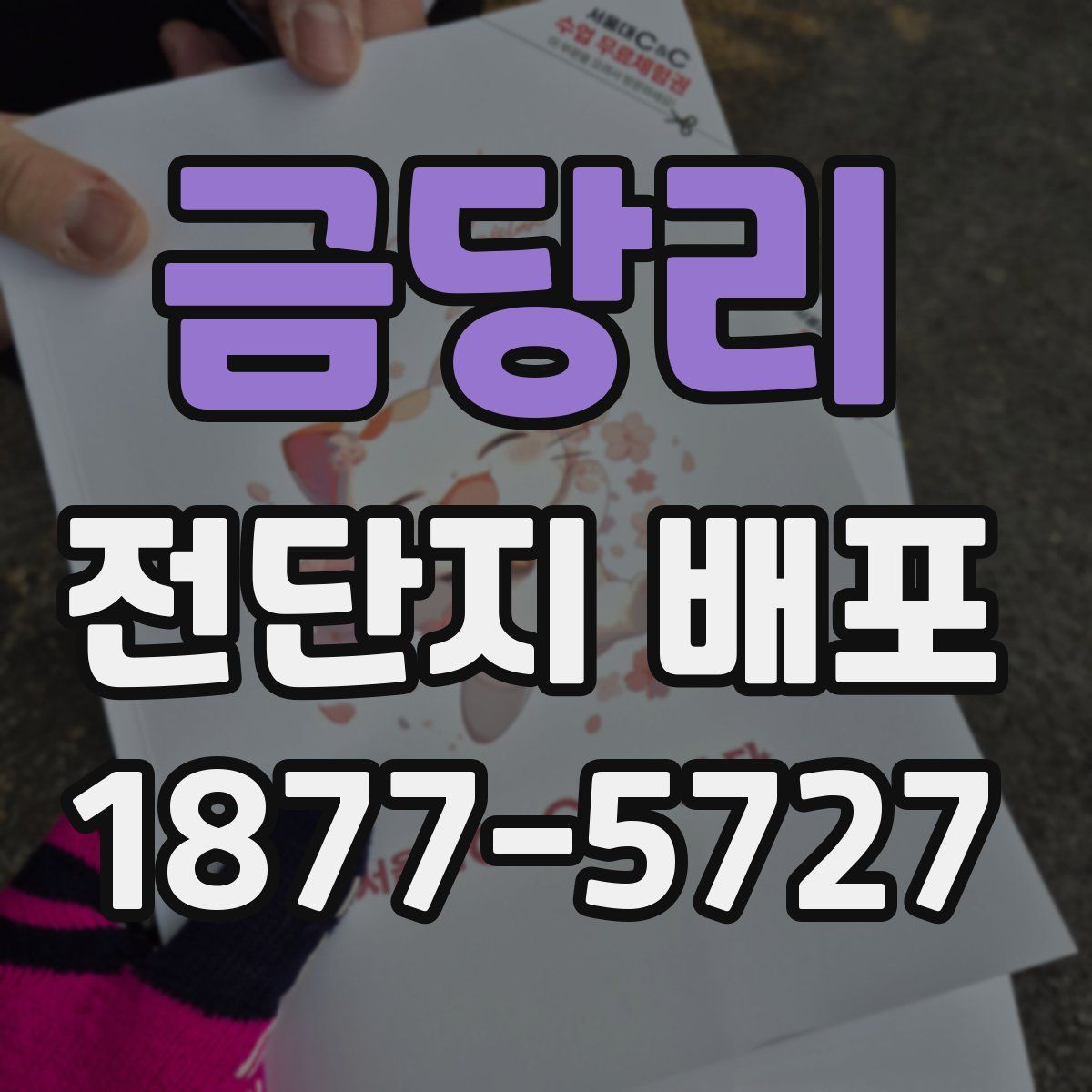 금당리 전단지 배포
