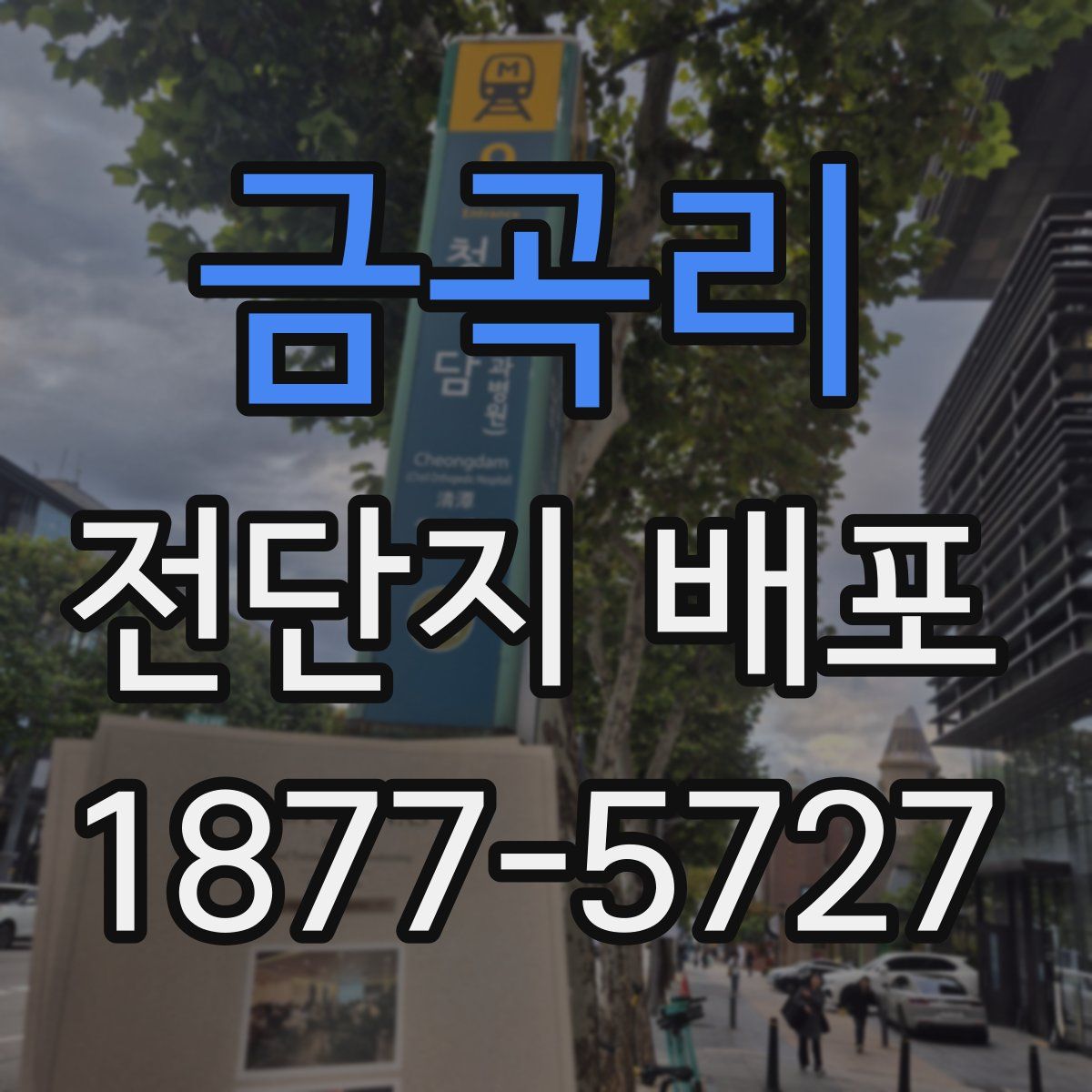 금곡리 전단지 배포