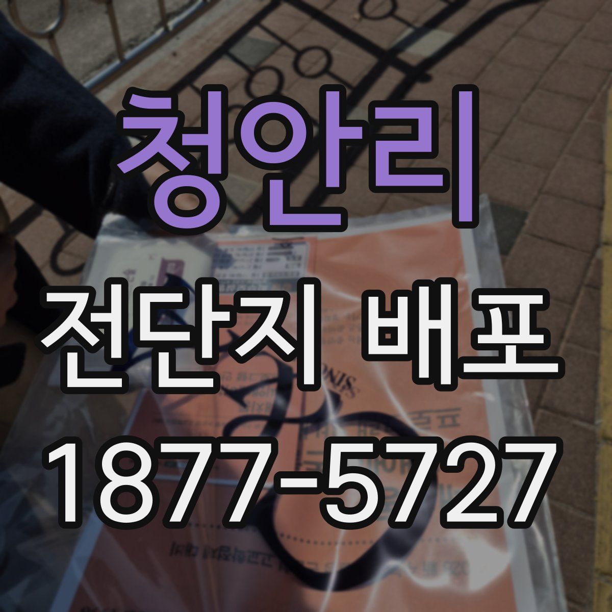 청안리 전단지 배포