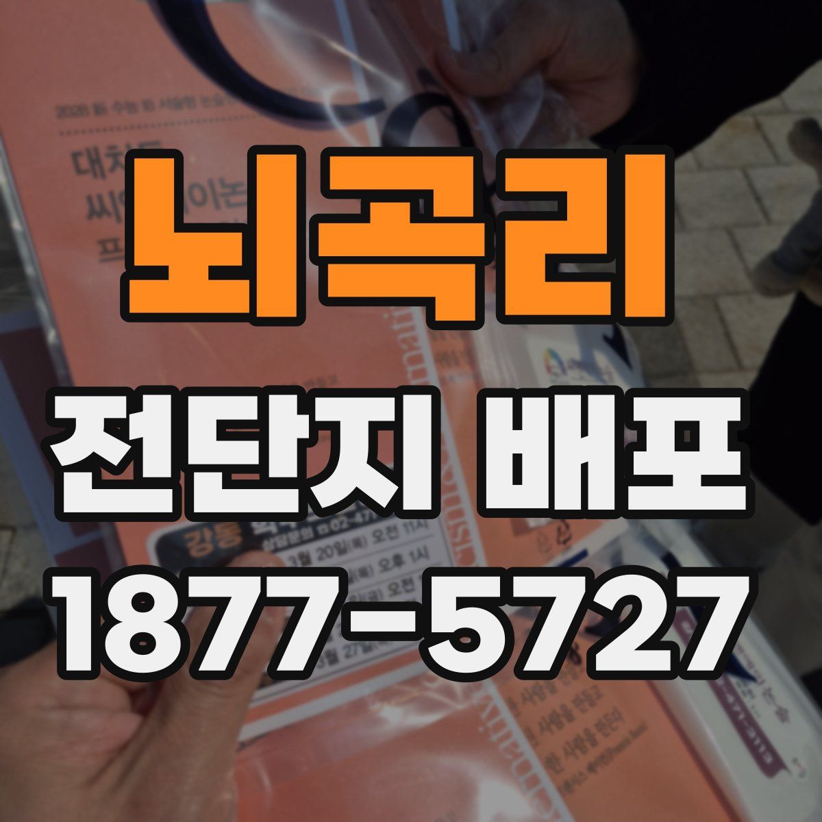 뇌곡리 전단지 배포