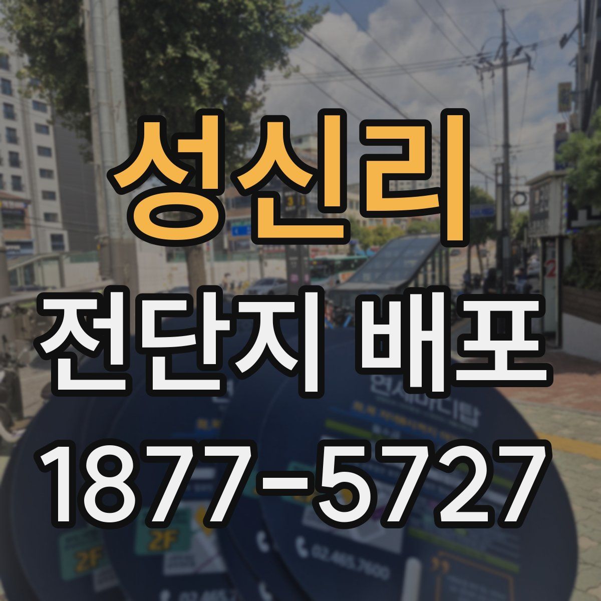 성신리 전단지 배포