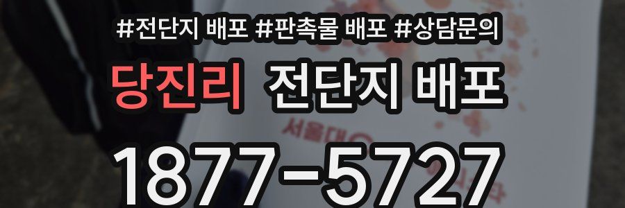 당진리 전단지 배포