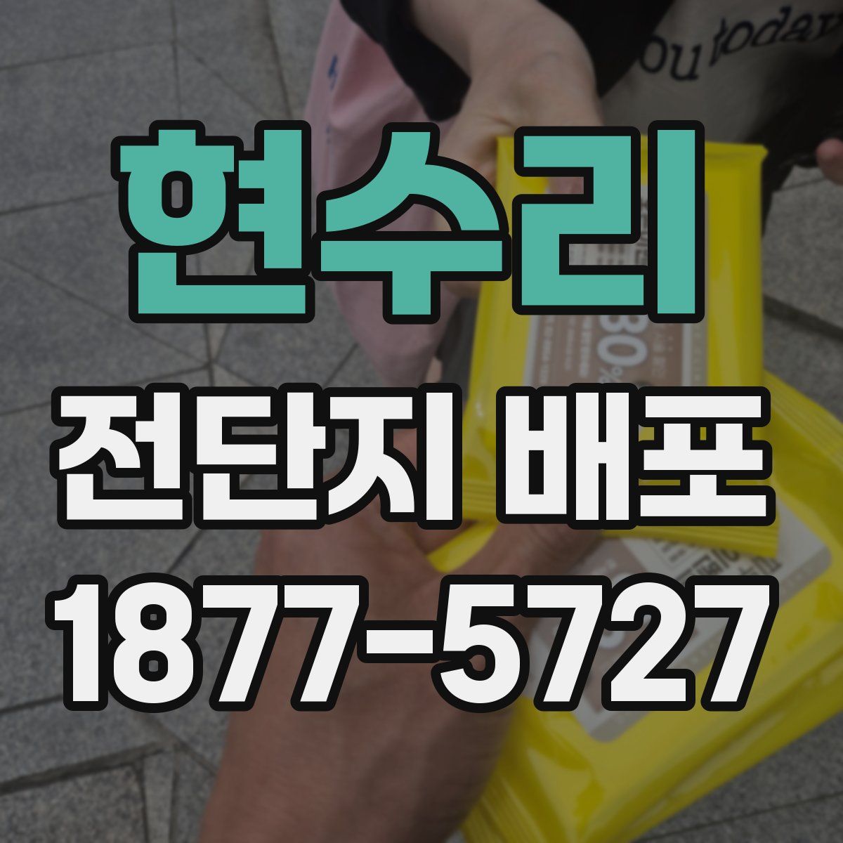 현수리 전단지 배포