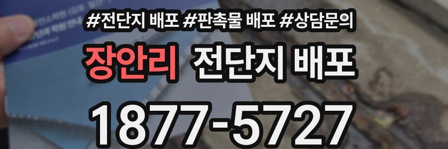 장안리 전단지 배포
