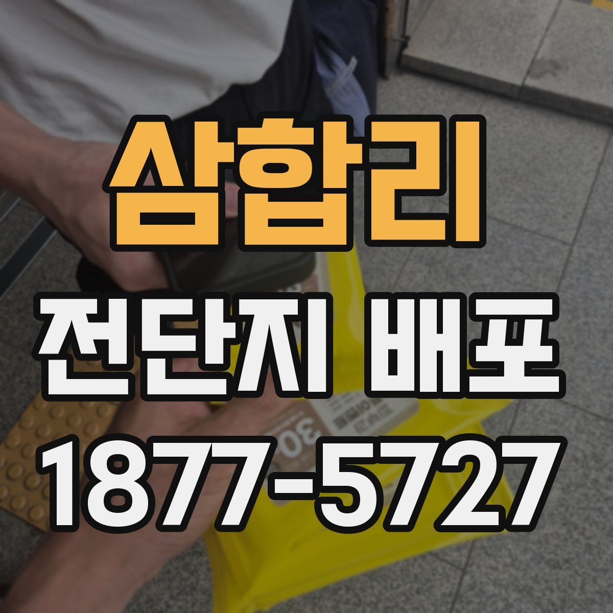 삼합리 전단지 배포