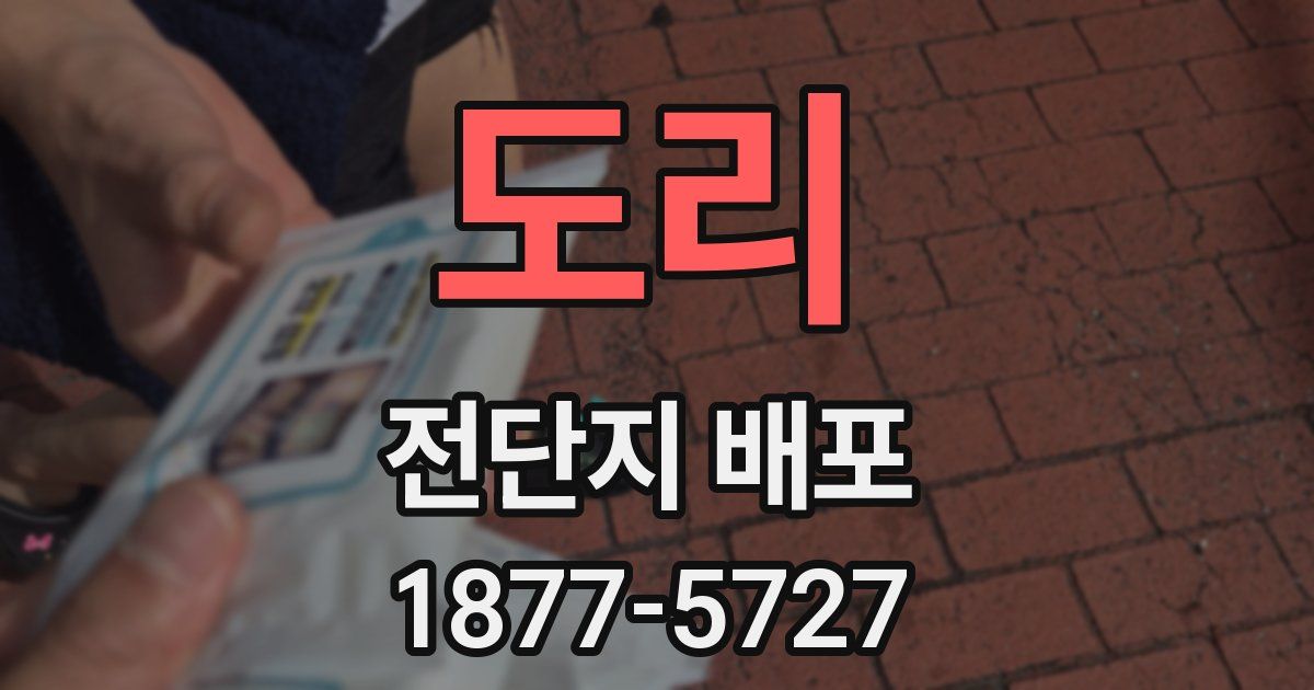 도리 전단지 배포