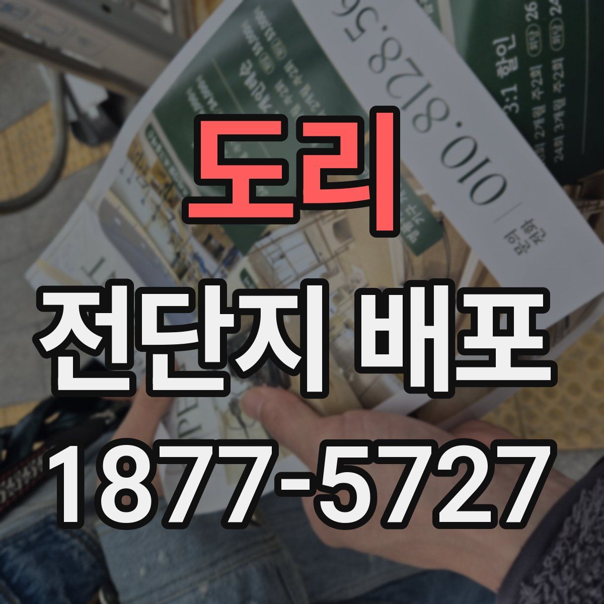 도리 전단지 배포