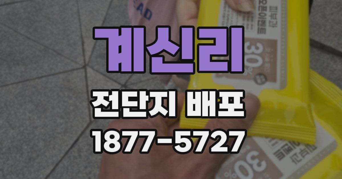계신리 전단지 배포