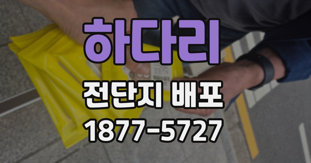하다리 전단지 배포
