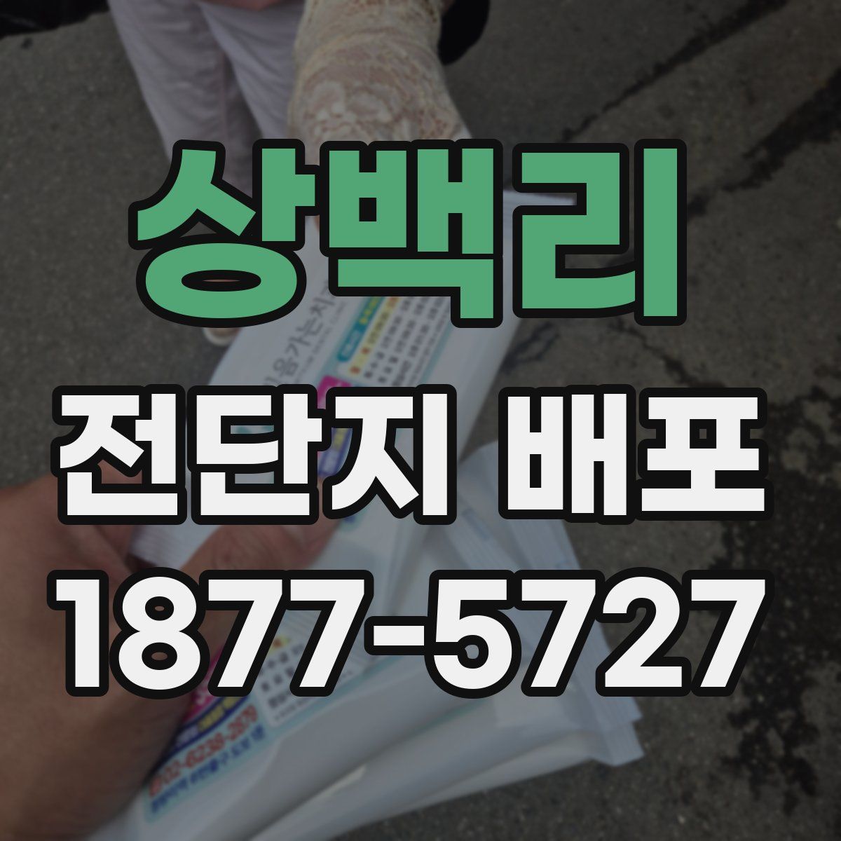 상백리 전단지 배포
