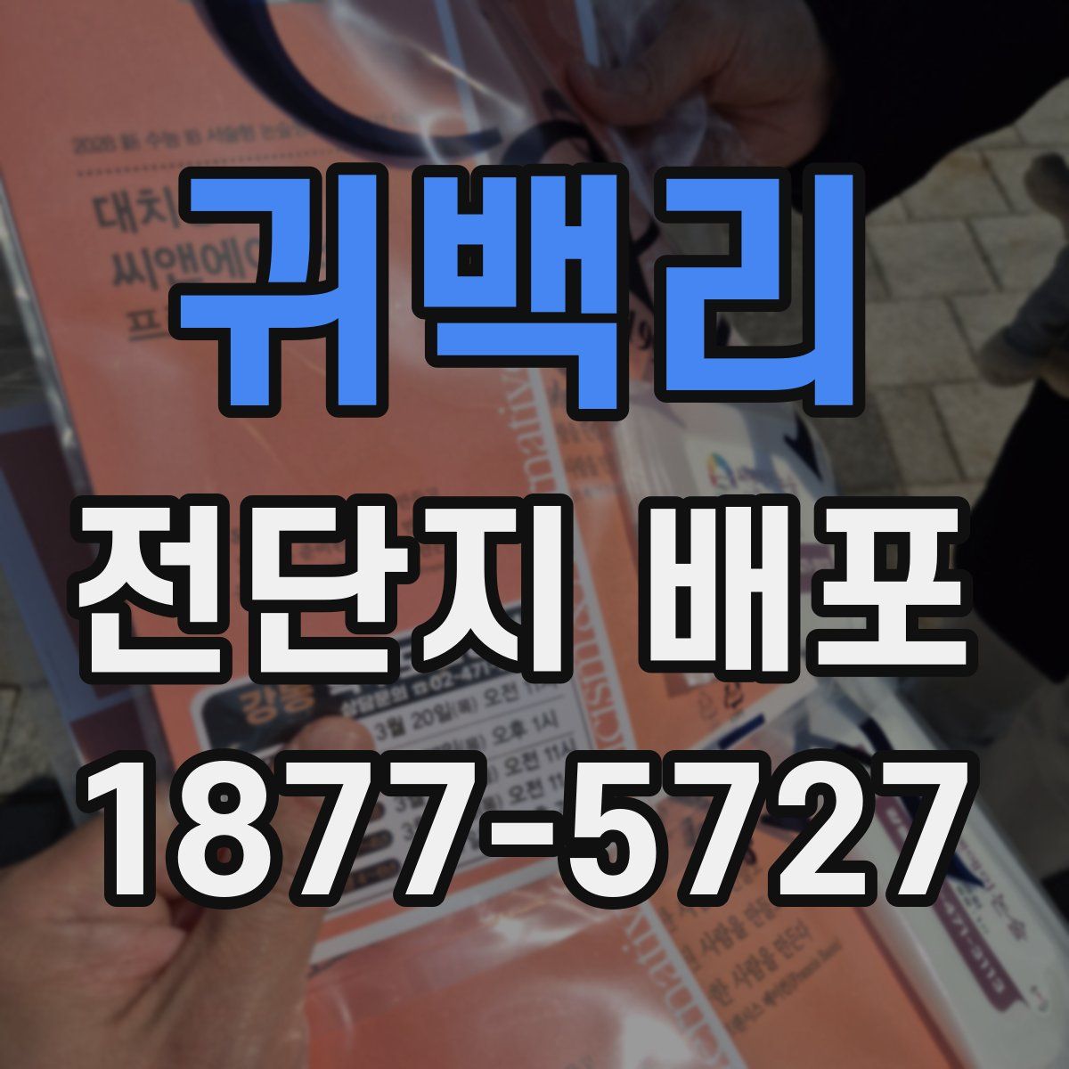 귀백리 전단지 배포