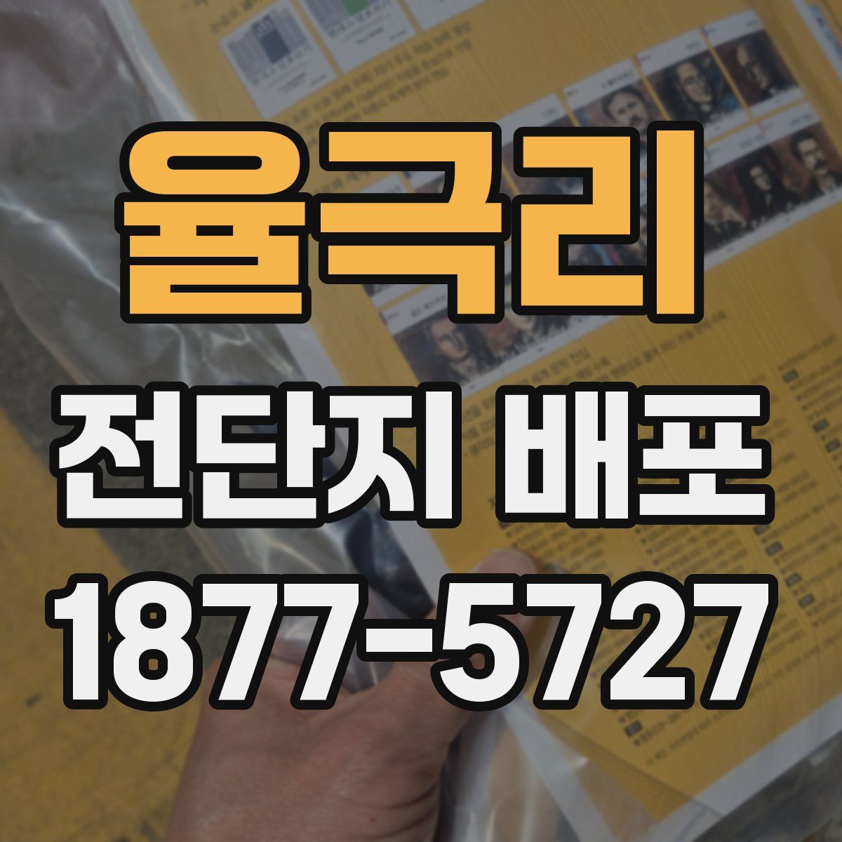 율극리 전단지 배포