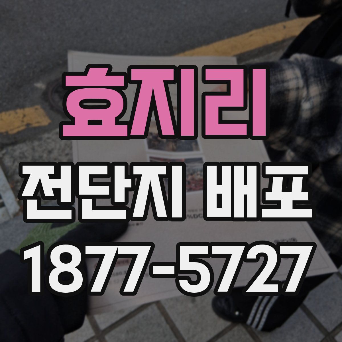효지리 전단지 배포