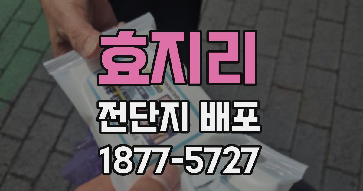 효지리 전단지 배포