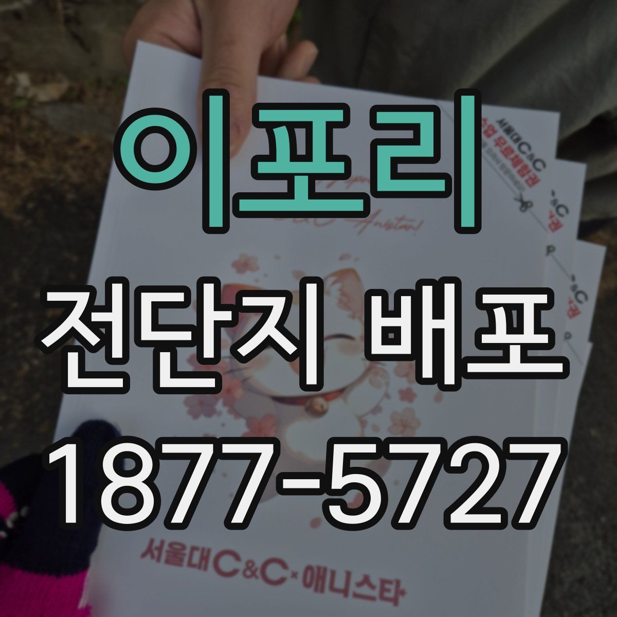 이포리 전단지 배포