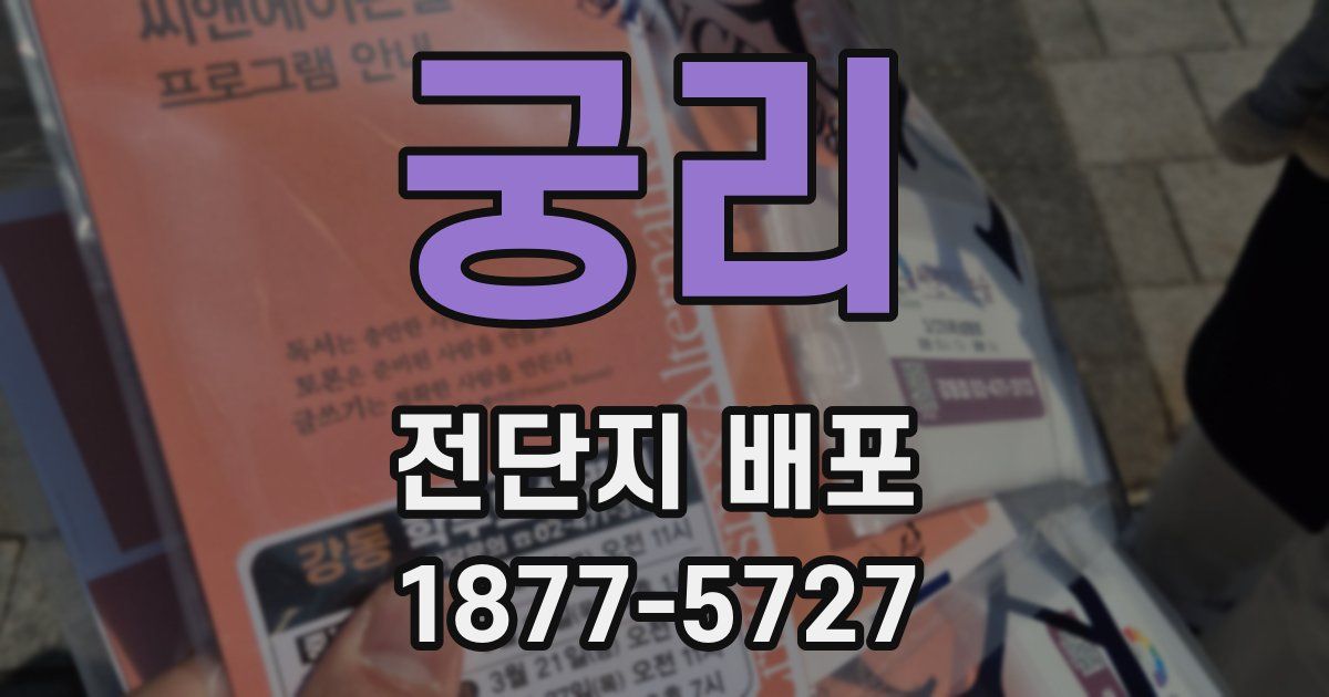 궁리 전단지 배포