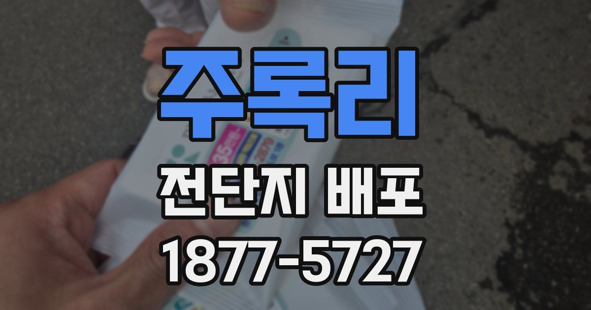 주록리 전단지 배포