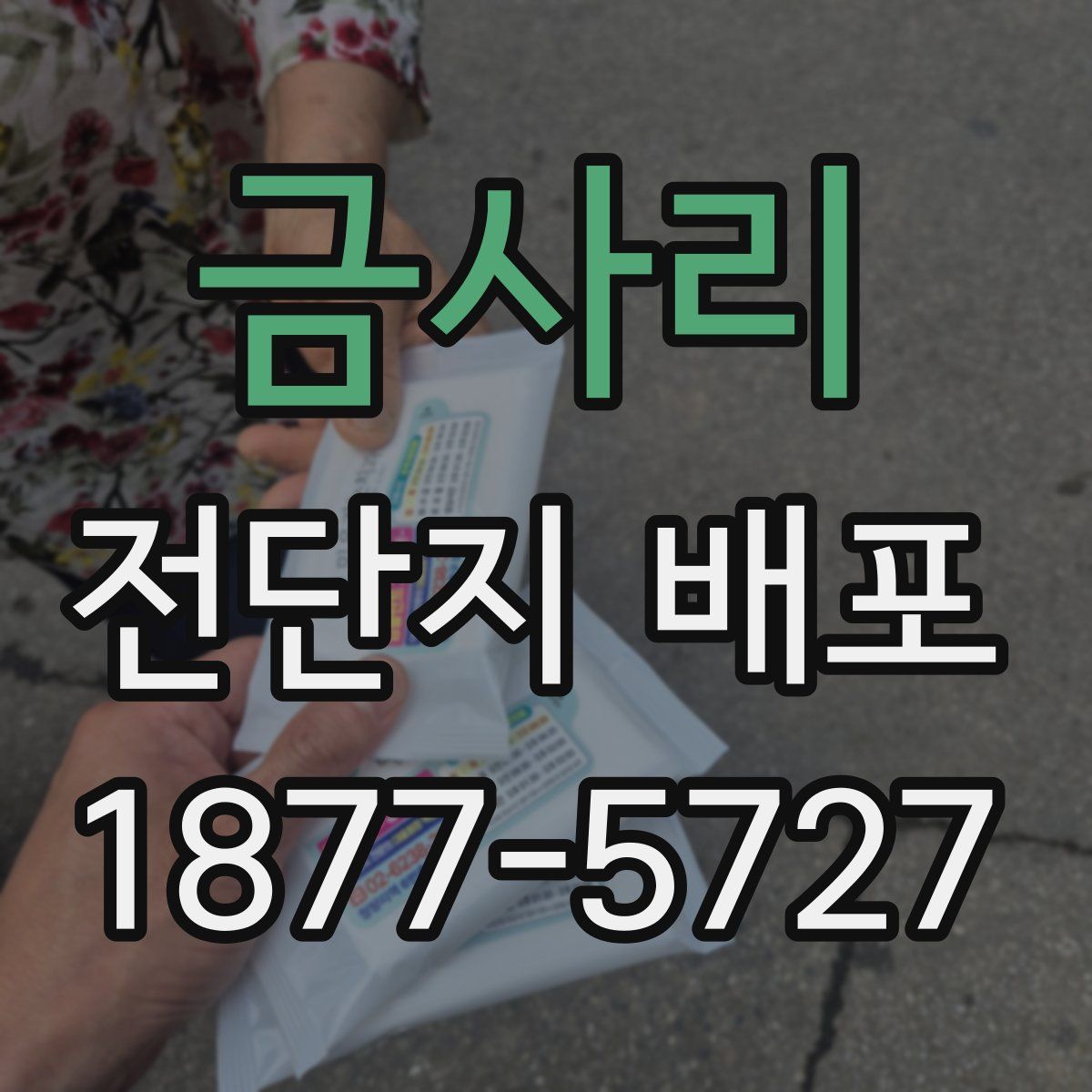 금사리 전단지 배포