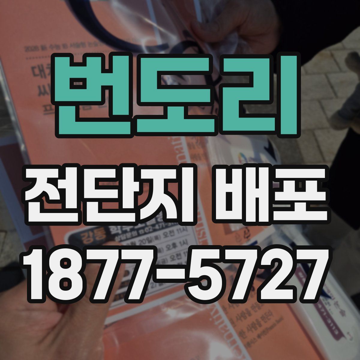 번도리 전단지 배포
