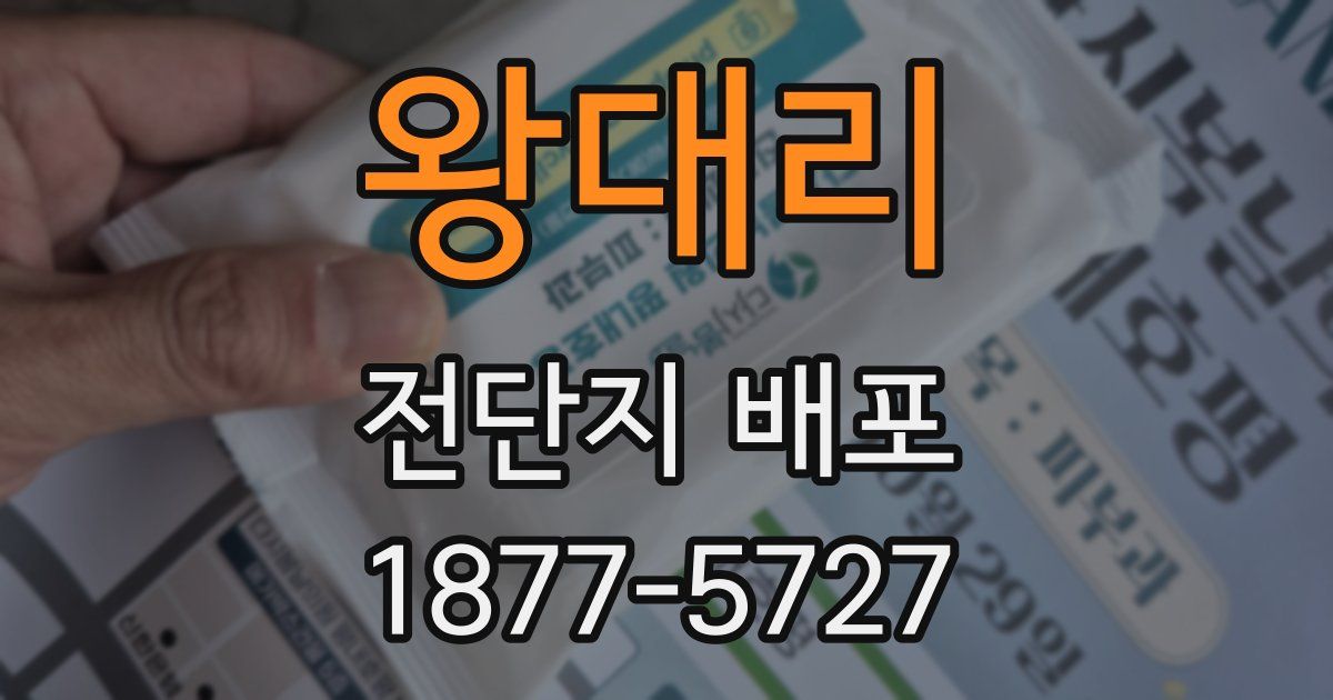 왕대리 전단지 배포