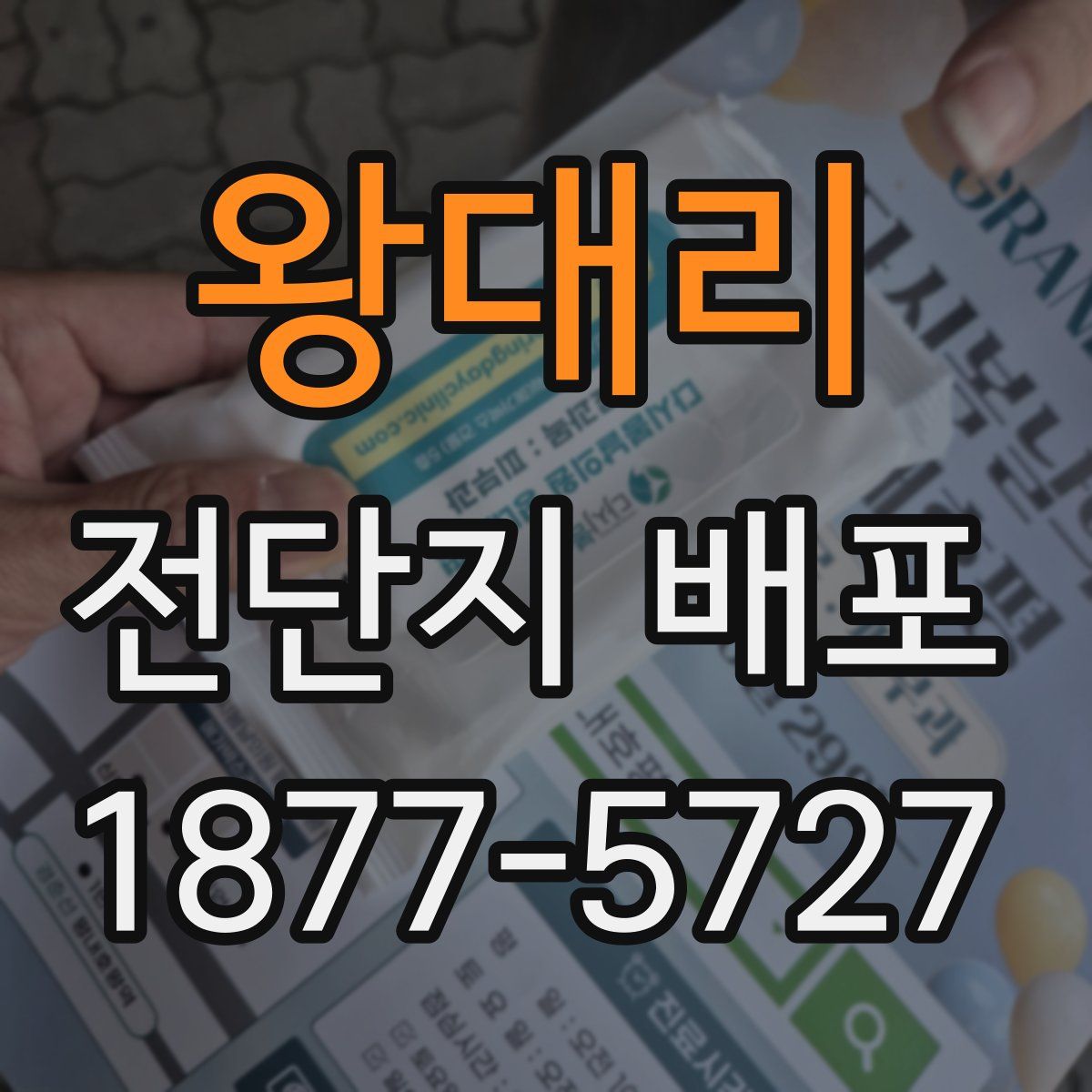 왕대리 전단지 배포