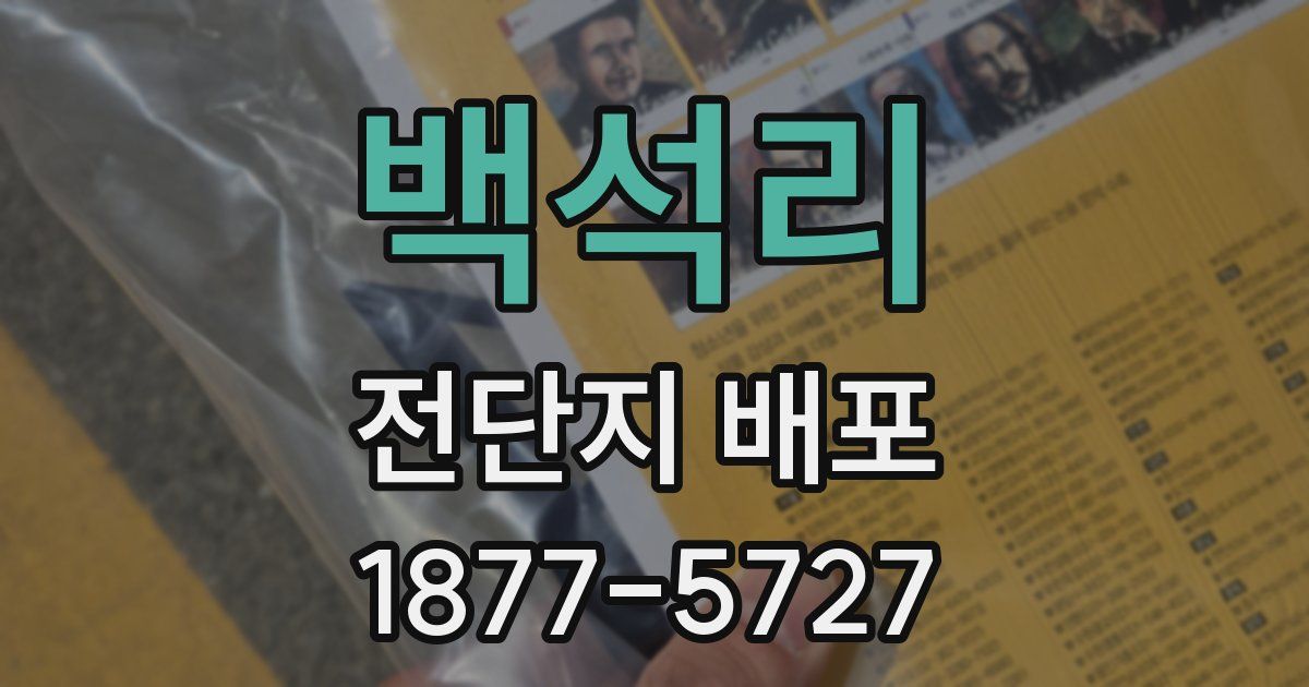 백석리 전단지 배포