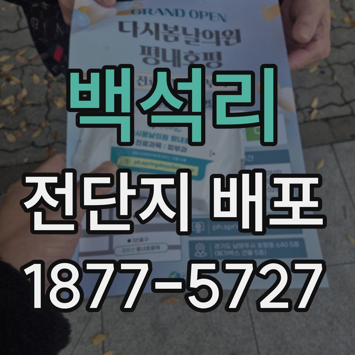 백석리 전단지 배포
