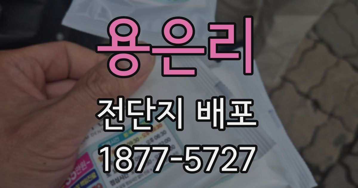 용은리 전단지 배포