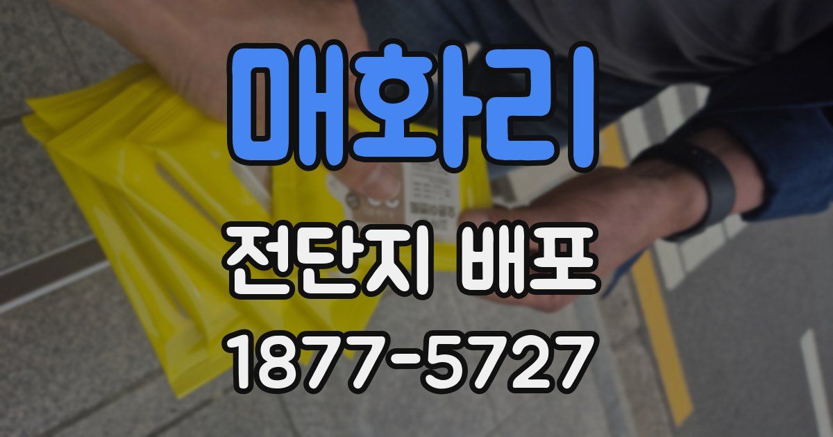 매화리 전단지 배포