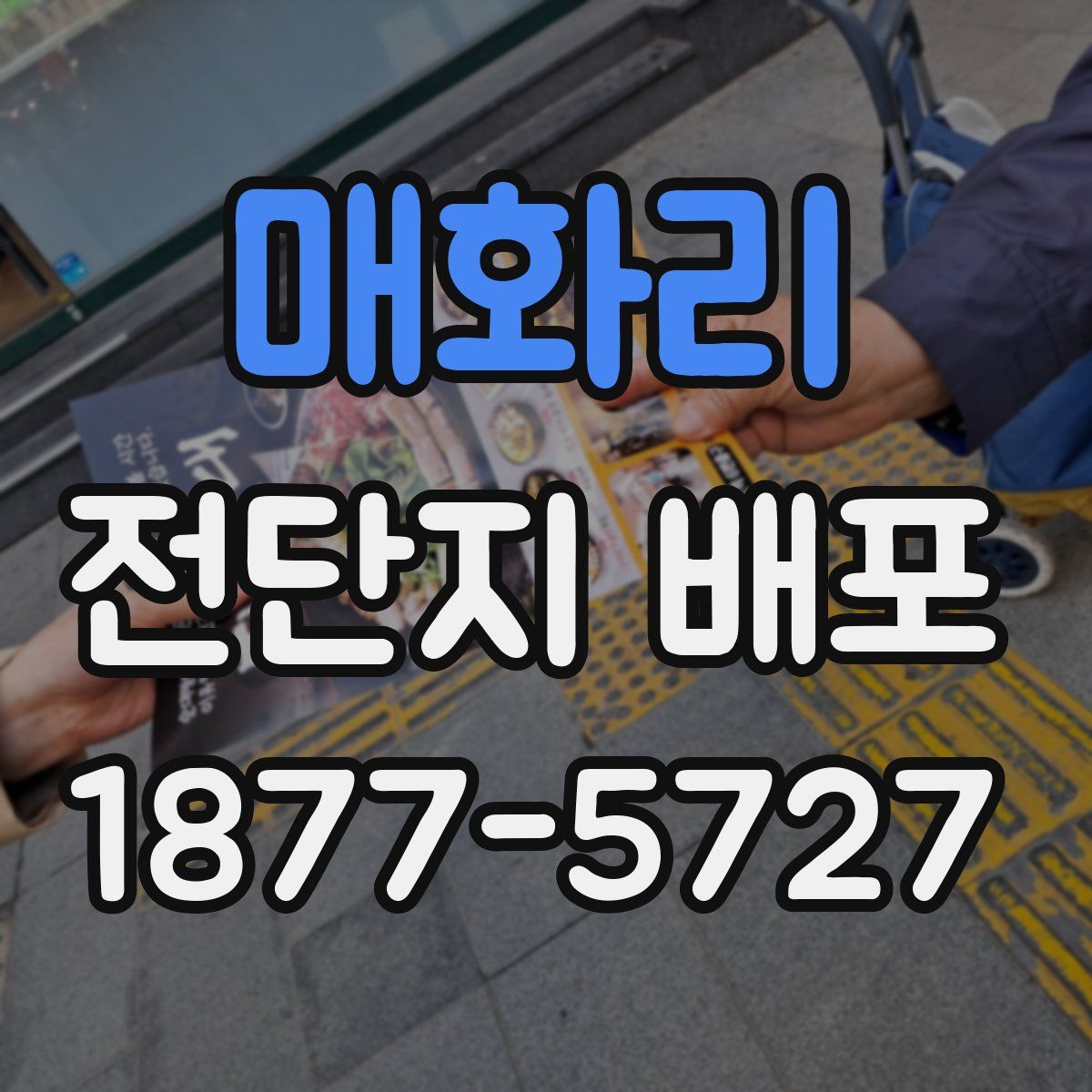 매화리 전단지 배포