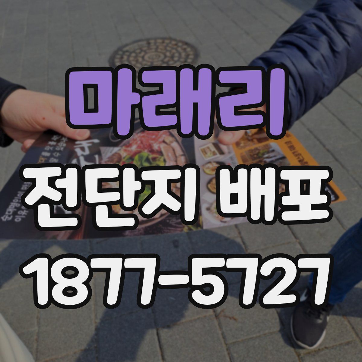 마래리 전단지 배포