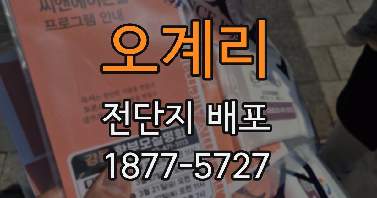 오계리 전단지 배포