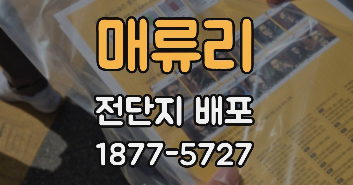 매류리 전단지 배포